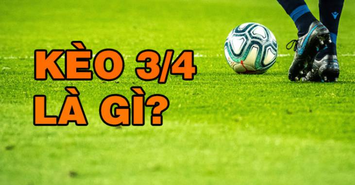 Đánh giá chất lượng dịch vụ và trải nghiệm của Sbty - Sbty