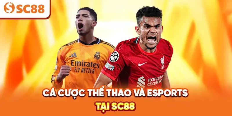 K8 cung cấp các sản phẩm K8 vô cùng hấp dẫn - K8