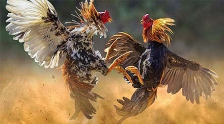 Tận hưởng trải nghiệm chơi game trực tuyến chất lượng cao và an toàn tại Vnd188 - Vnd188