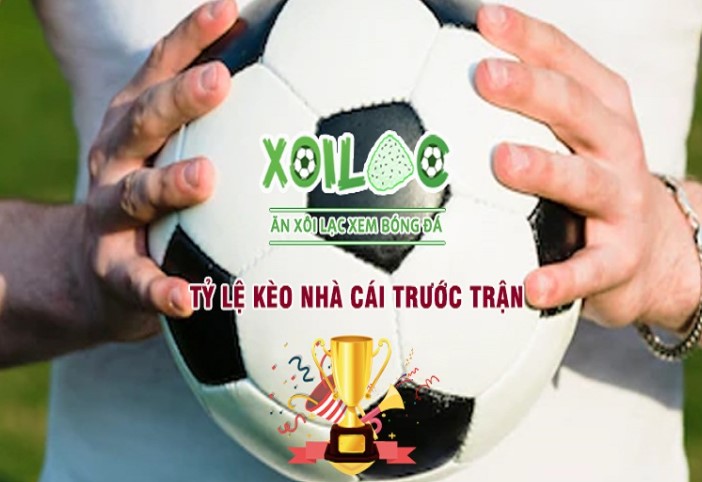 Tiền thưởng khi đến 9Dbet - 9Dbet