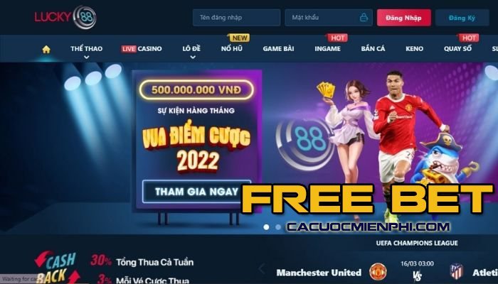 Tóm tắt hoạt động quảng bá Bong888 - Bong888
