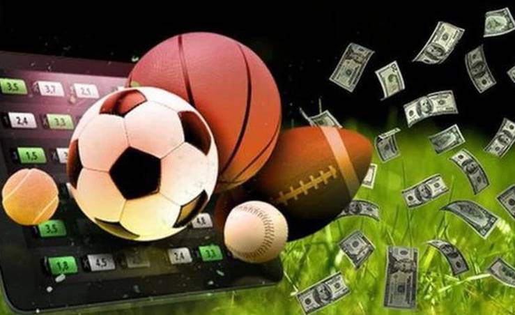 Gà chọi cấp 365Vn có những ưu điểm gì thu hút người chơi? - 365Vn