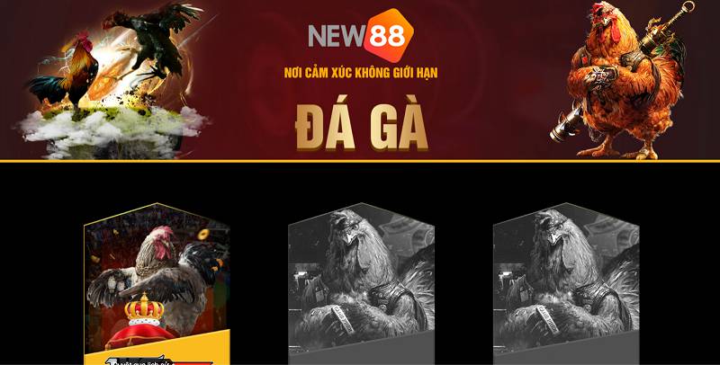 Df999 là một công ty game được cấp phép chính thức - Df999