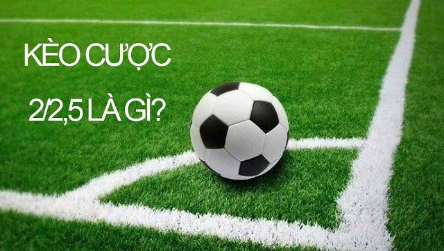 Giải thưởng cá cược thể thao Ev88 trị giá 3000 reais được tính như thế nào? - Ev88