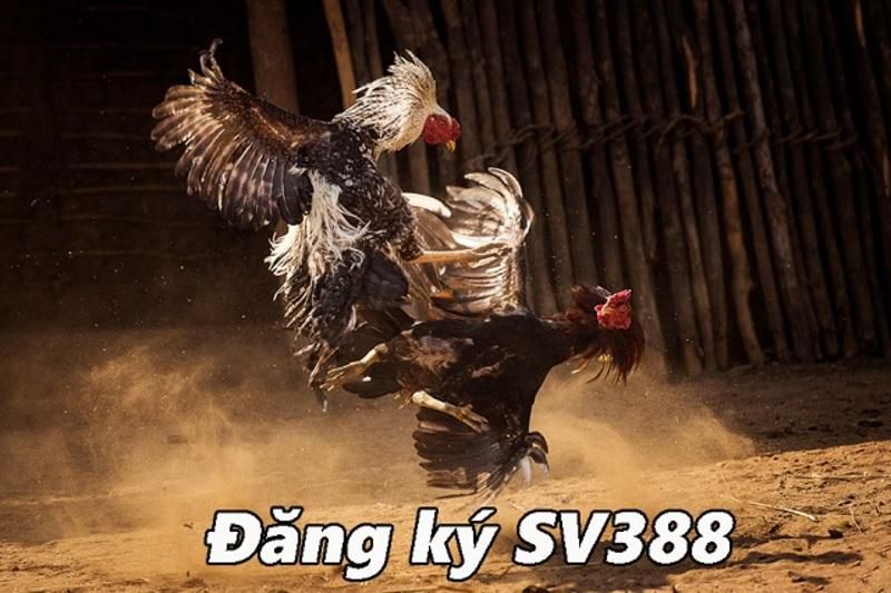 Các bước chi tiết để đăng nhập vào Ok9 - Ok9