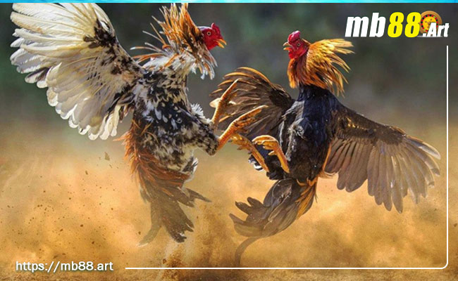 Tìm hiểu về các chương trình khuyến mãi Vn138 và nhận phần thưởng 88k - Vn138