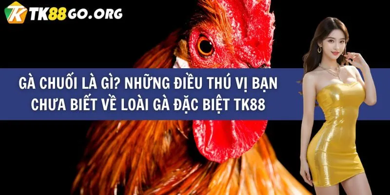 Một cửa hàng trò chơi xếp hạng Fun88 phong phú và vô cùng hấp dẫn - Fun88