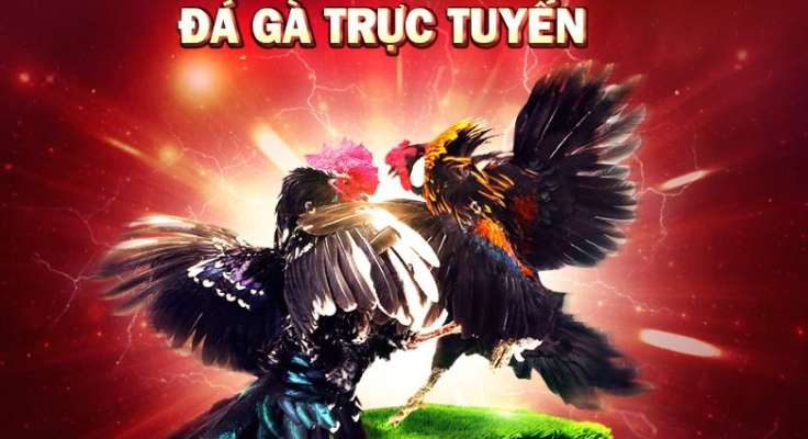 Ưu đãi khuyến mãi của Az888 chỉ có hiệu lực trên trang web của Az888 Games - Az888