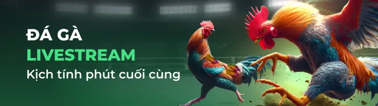 Tại sao các trò chơi máy đánh bạc được xếp hạng Bong88 lại hấp dẫn người chơi đến vậy? - Bong88